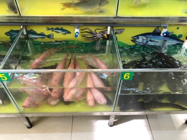 Fersk fisk i butikk til et nytt nivå.