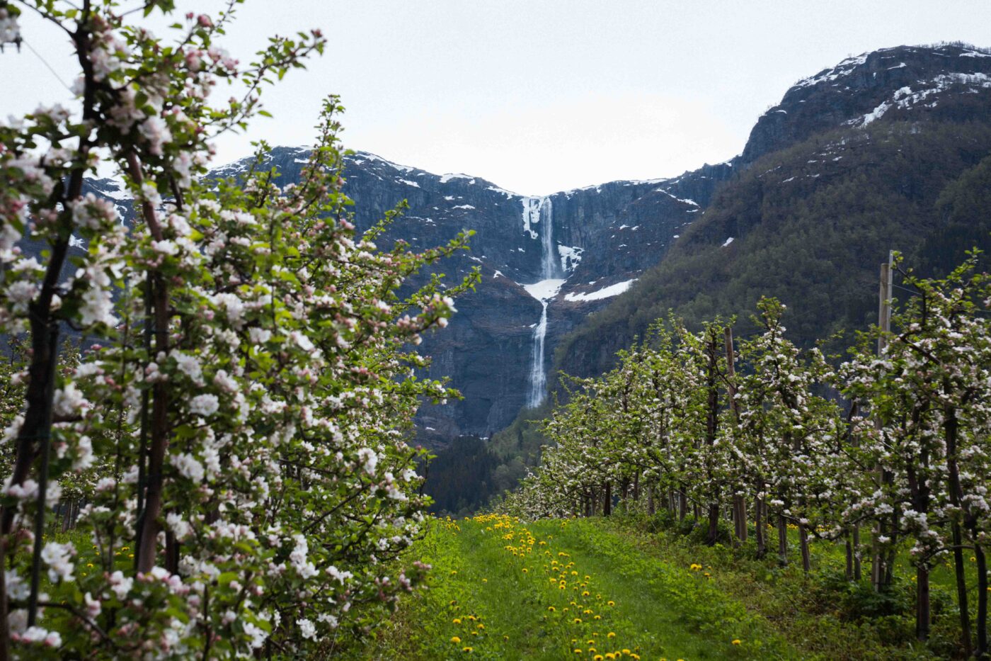 Odin Forvaltning Odin Odin Forvaltning Odin