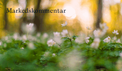 Markedskommentar april_GettyImages-1471486232